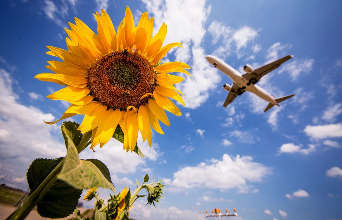 Arimont : « Les droits des vacanciers sont renforcés »