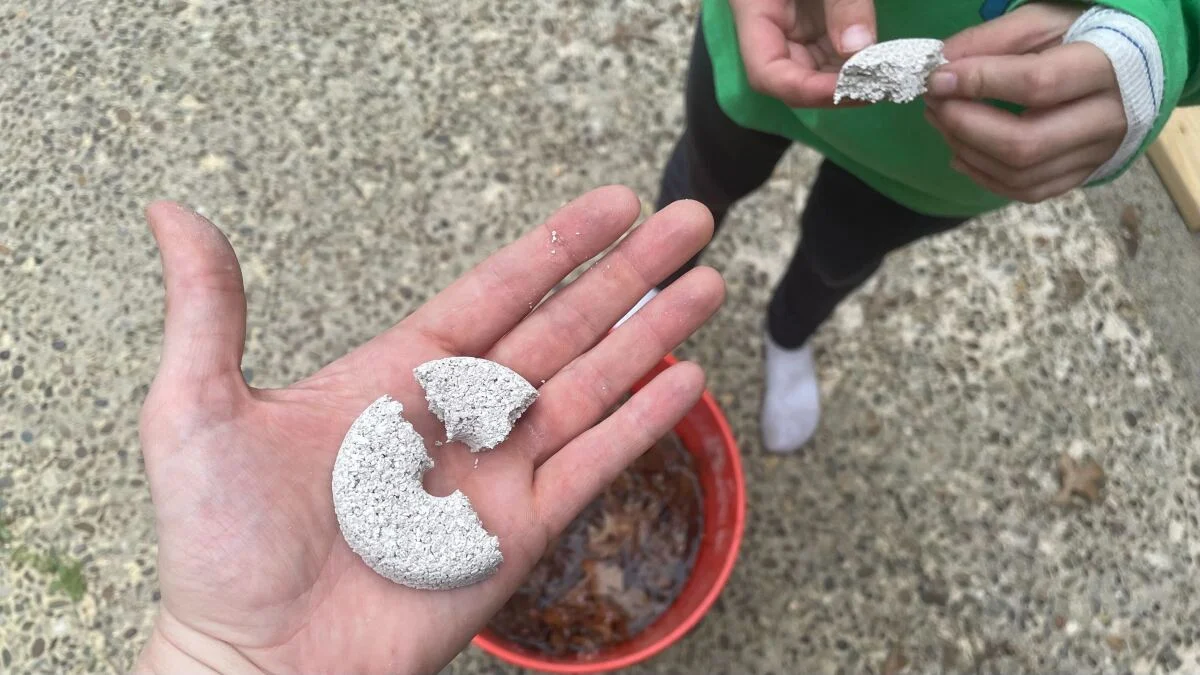 Configurez ce « seau de la mort des moustiques » maintenant