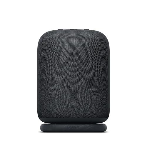 Haut-parleur Bluetooth portable sans fil LinkBuds de Sony, noir