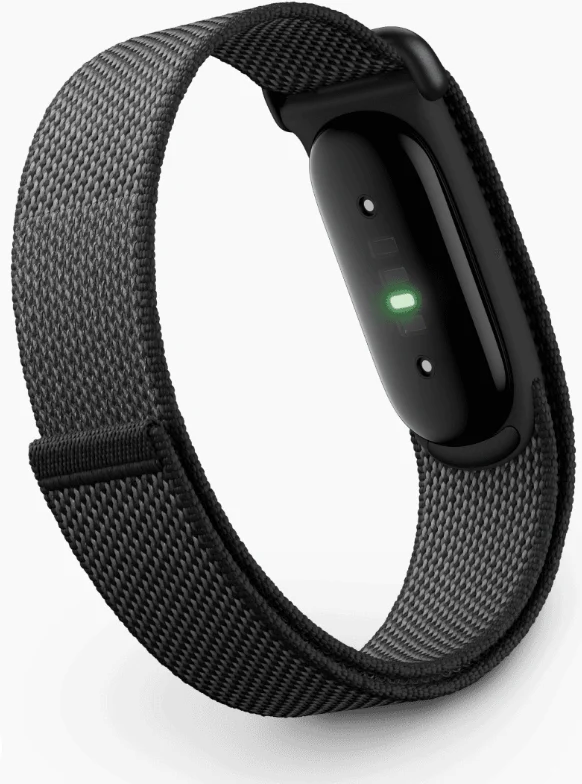 Google Fitbit Air
