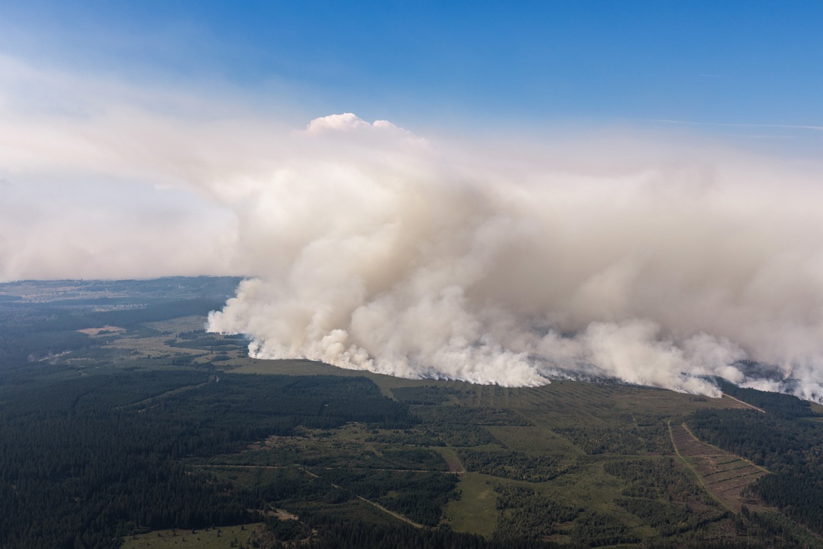 Risque pour la santé des incendies de forêt : Pourquoi la fumée qui en résulte est dangereuse (Questions et réponses)