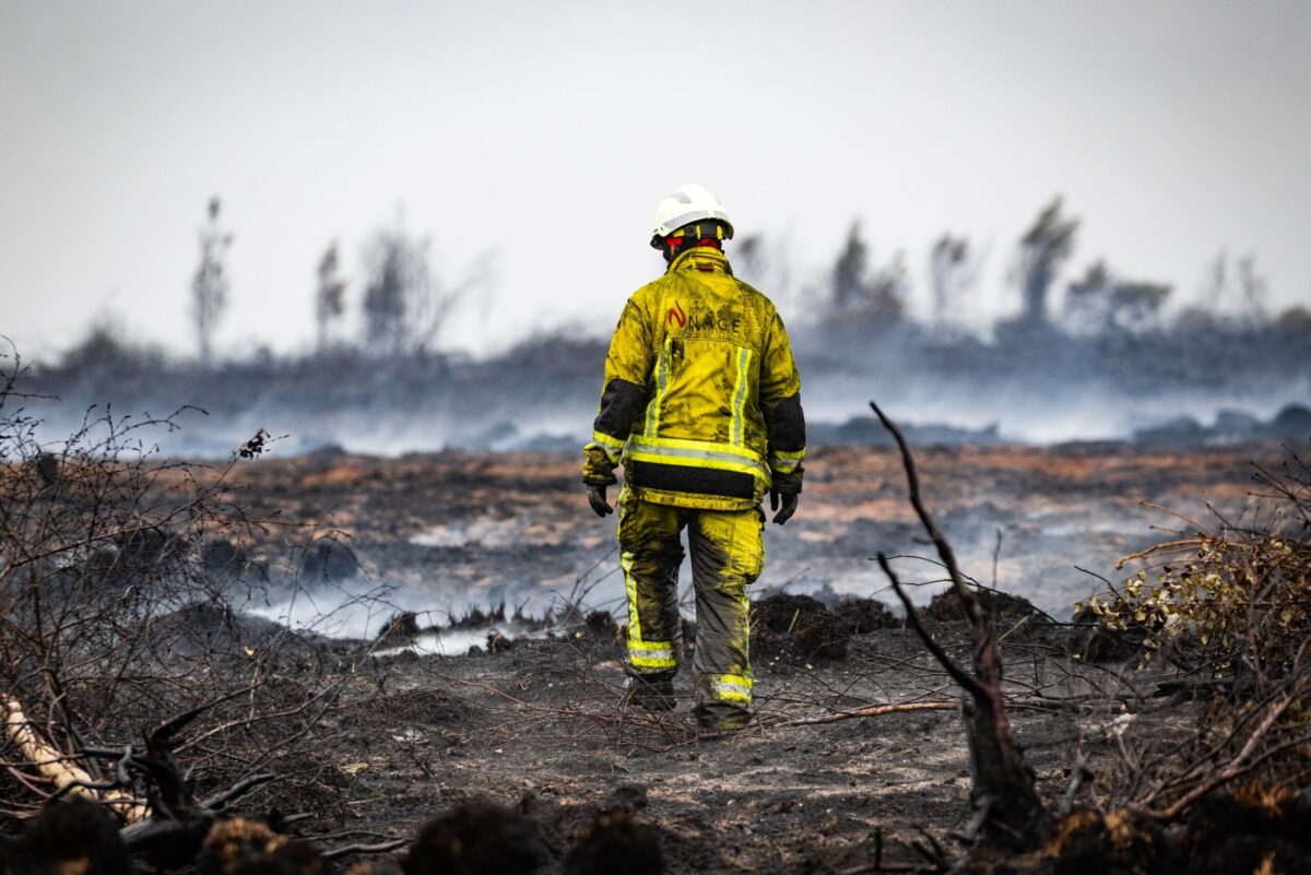 Après l'incendie : combien de temps les Hautes Fagnes ont-elles besoin pour se rétablir ? Selon les experts, des années, voire des décennies