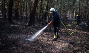 Le changement climatique pourrait tripler la superficie des incendies de forêt