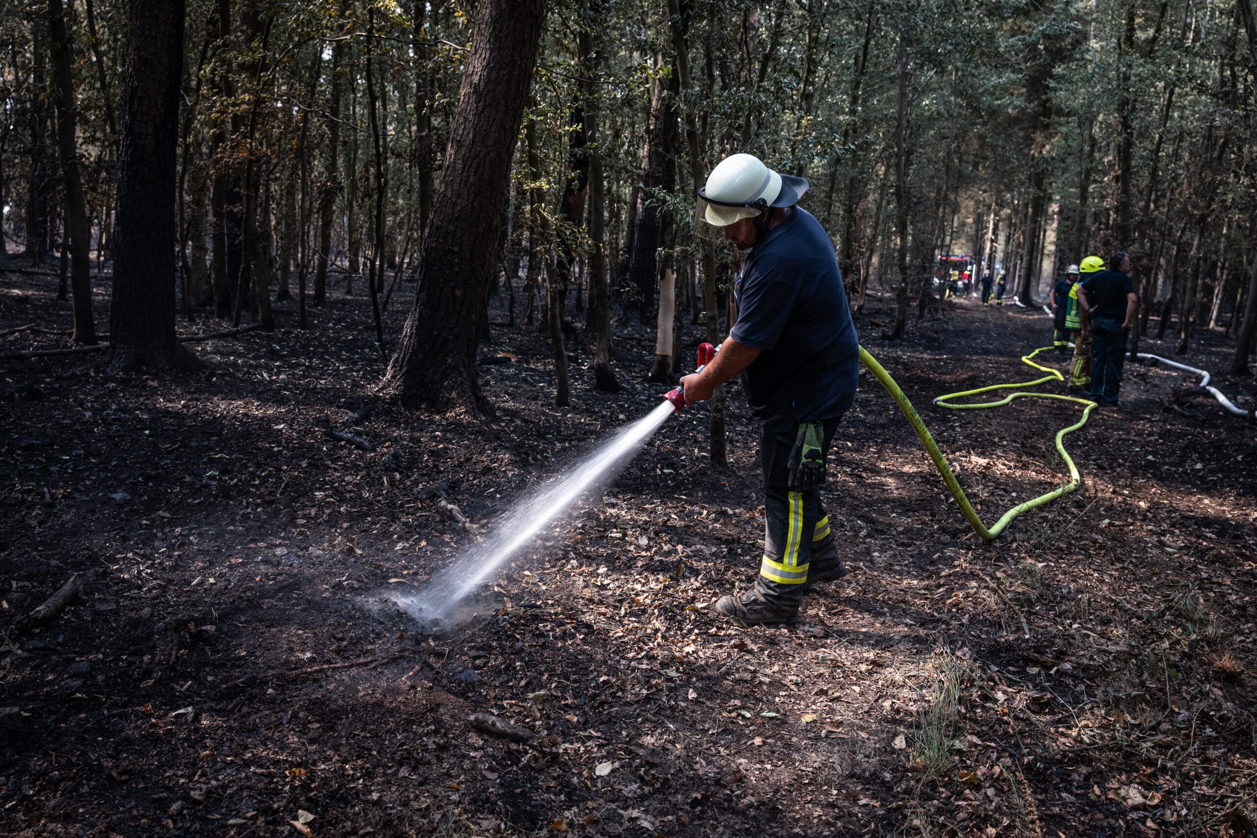 Le changement climatique pourrait tripler la superficie des incendies de forêt