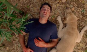 Si vous avez aimé « Lost », il y a un film que vous devez regarder ensuite