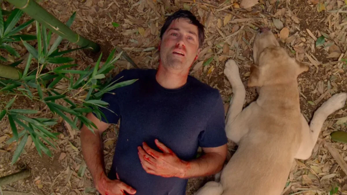 Si vous avez aimé "Lost", il y a un film que vous devez regarder ensuite