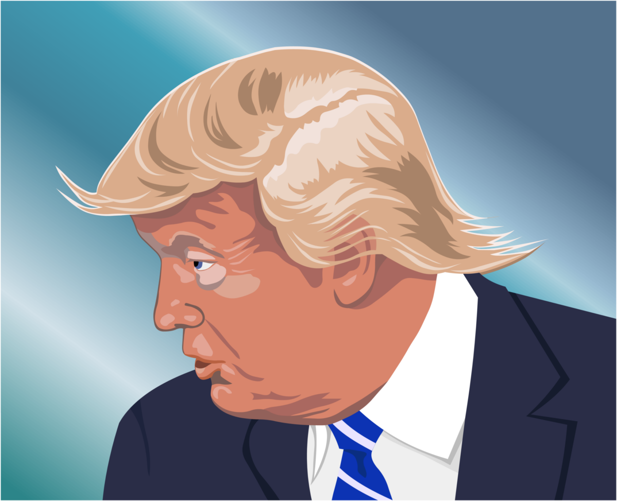 Le mystère sur la tête de Trump : les cheveux du président américain occupent à nouveau Internet